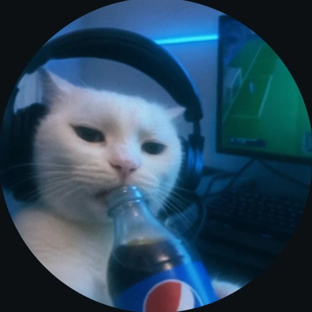 Profil