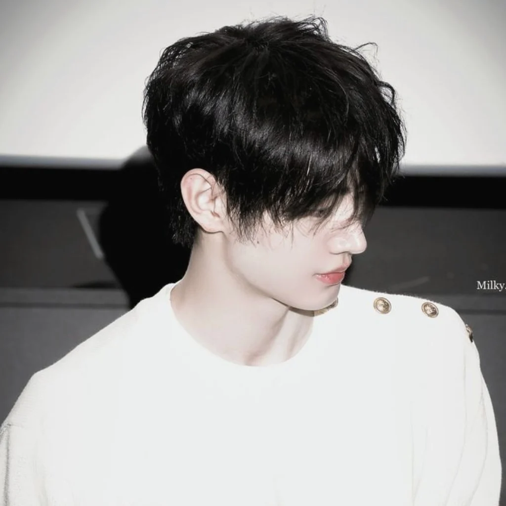 Profil