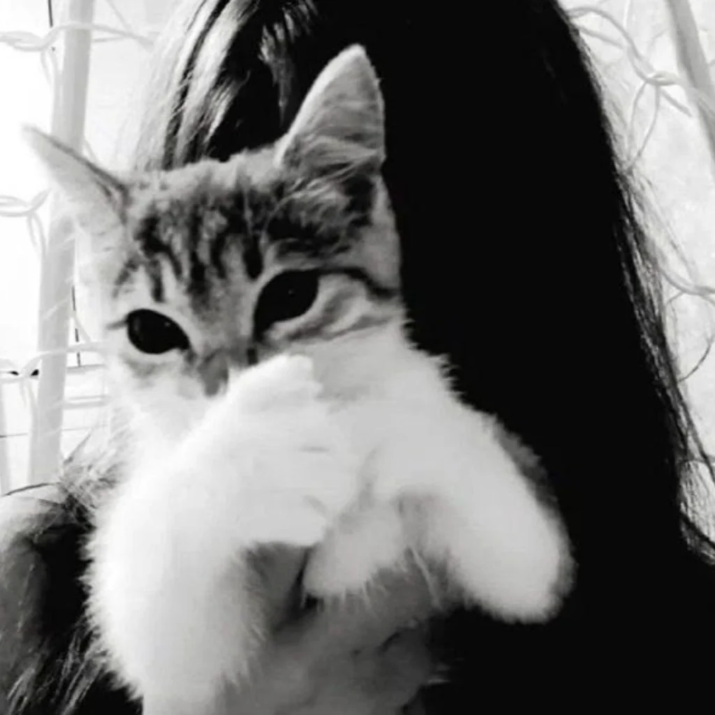Profil