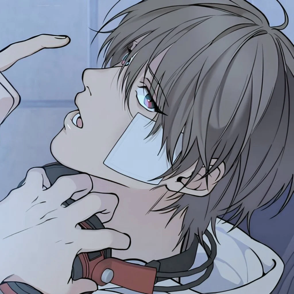 Profil