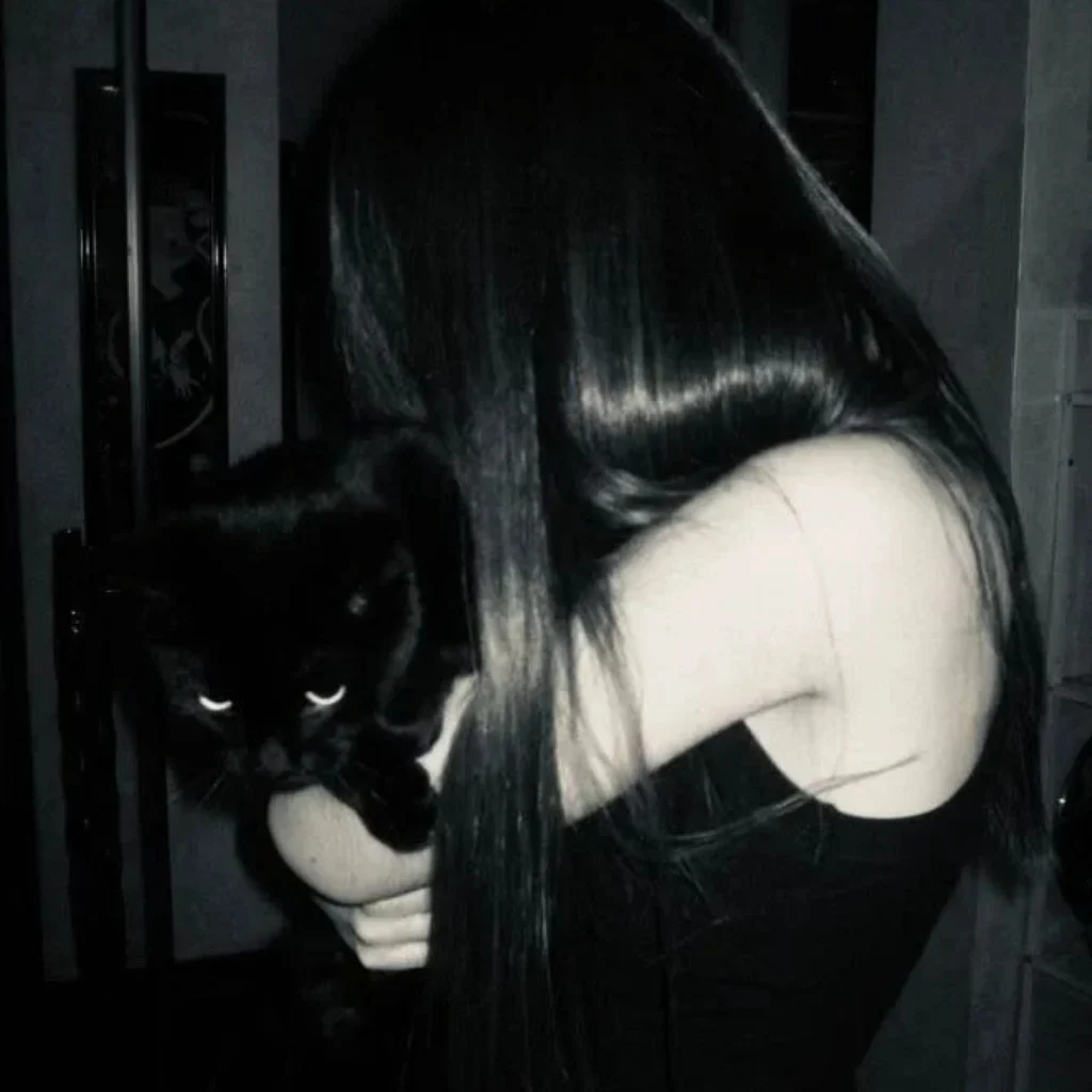 Profil