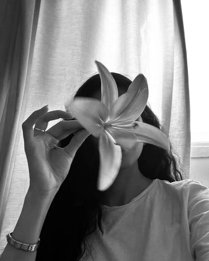 Profil
