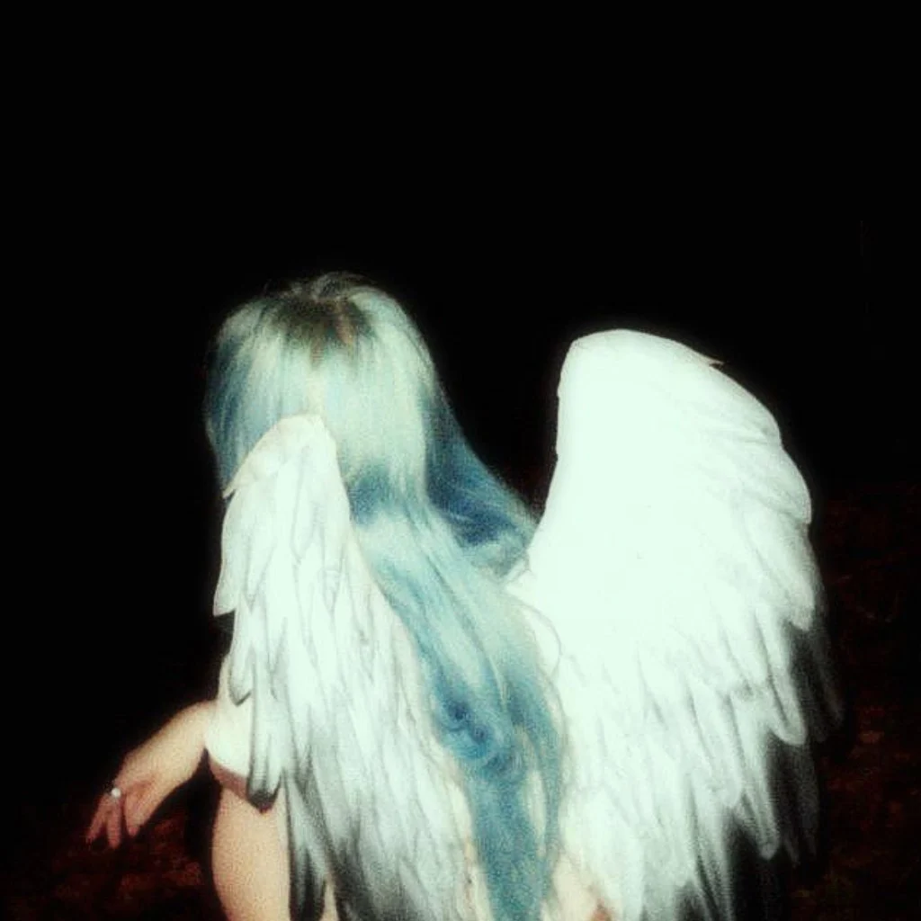Profil