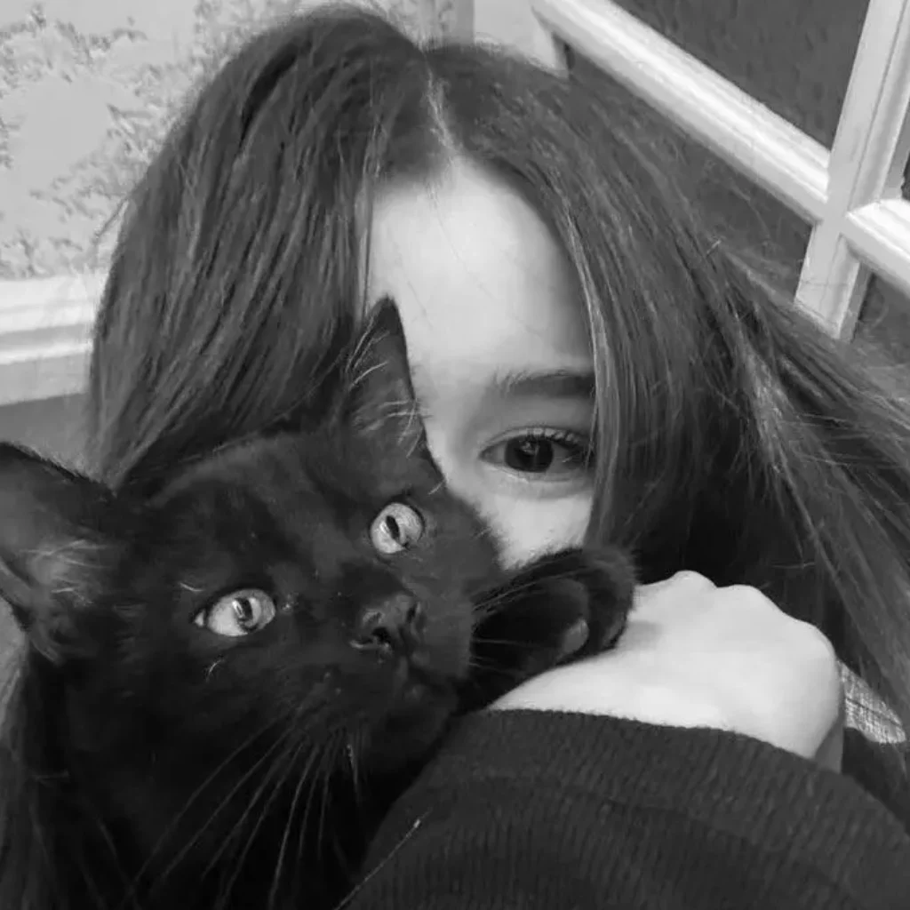 Profil