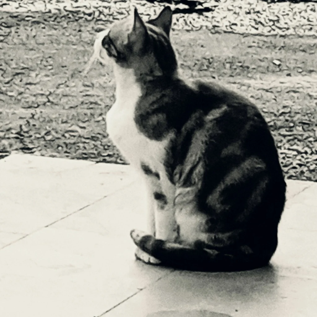 Profil