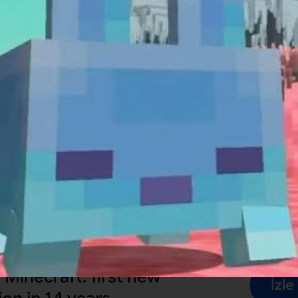 Profil