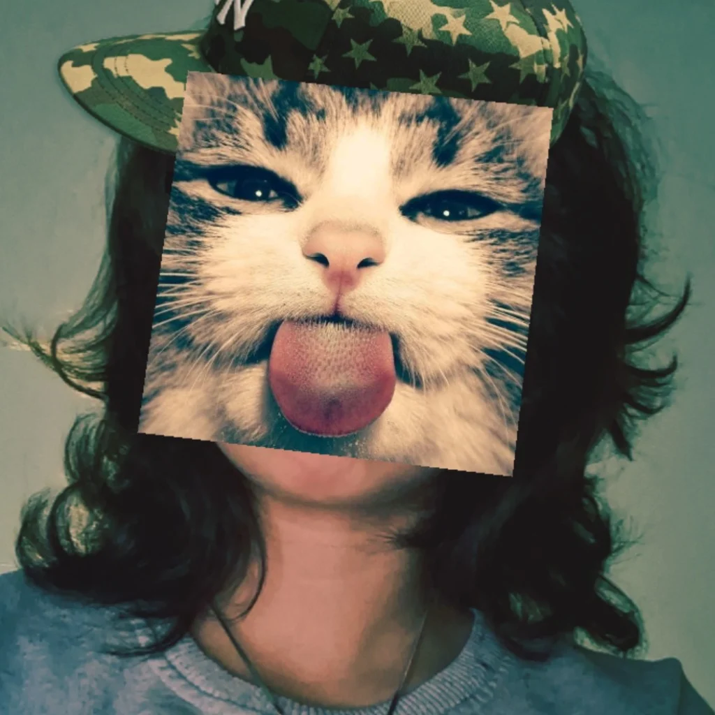 Profil