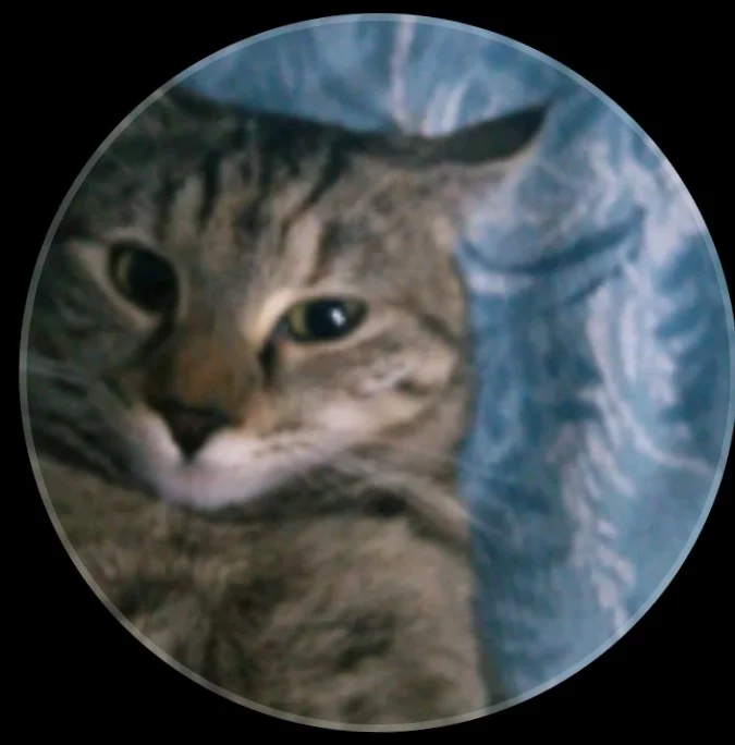 Profil