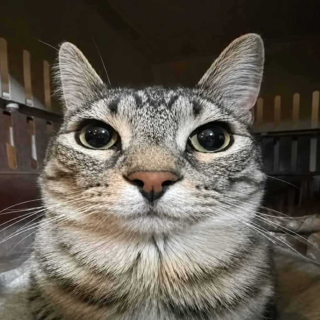 Profil