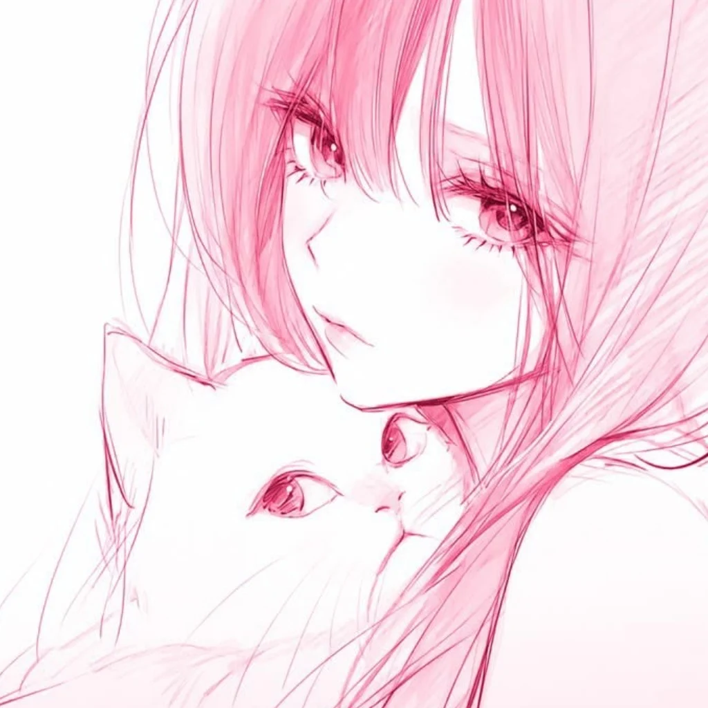 Profil